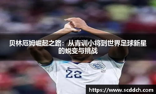 贝林厄姆崛起之路：从青训小将到世界足球新星的蜕变与挑战